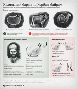 Мусульмане всего мира отмечают Курбан-байрам - праздник жертвоприношения